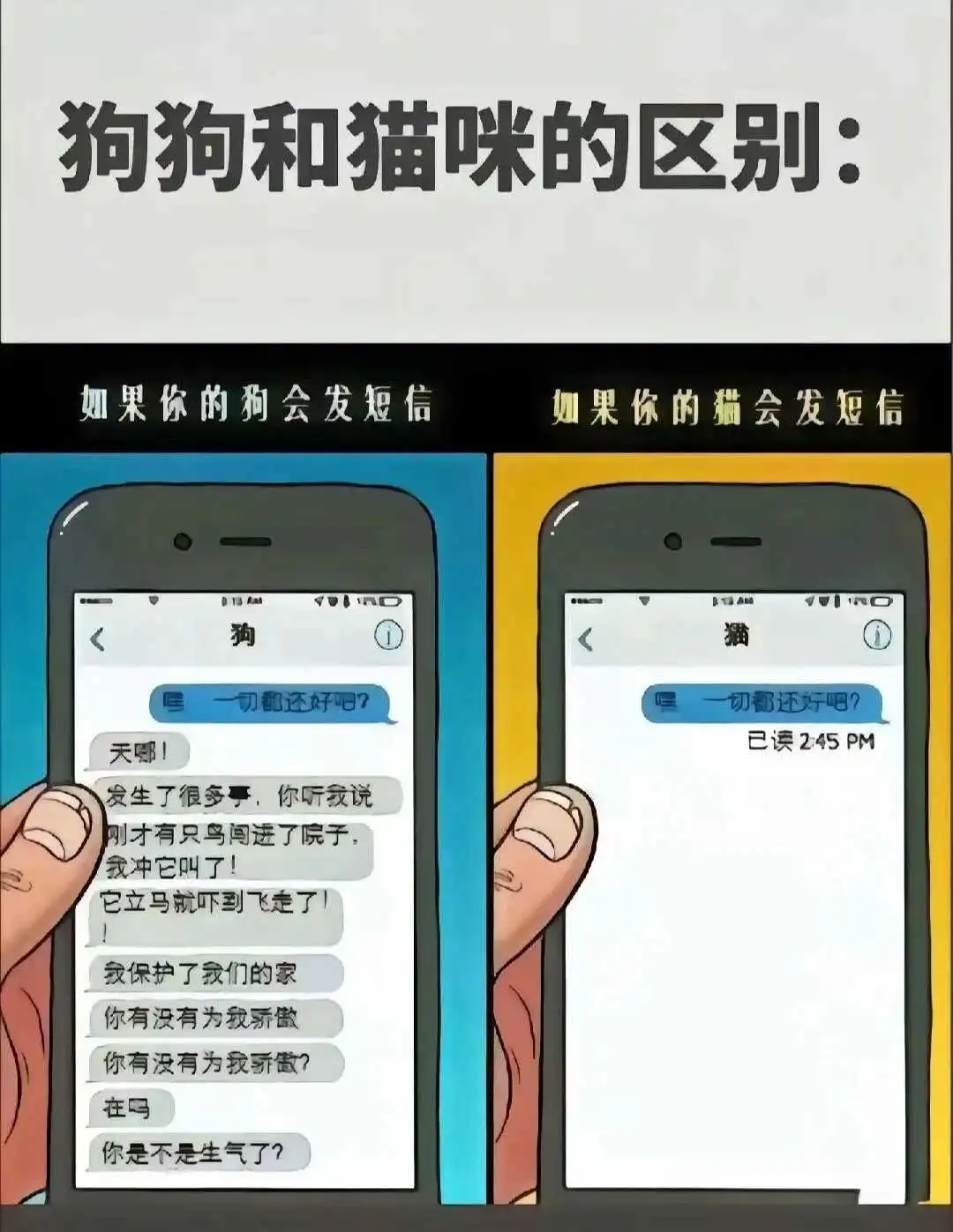 斯慕圈：实用指南