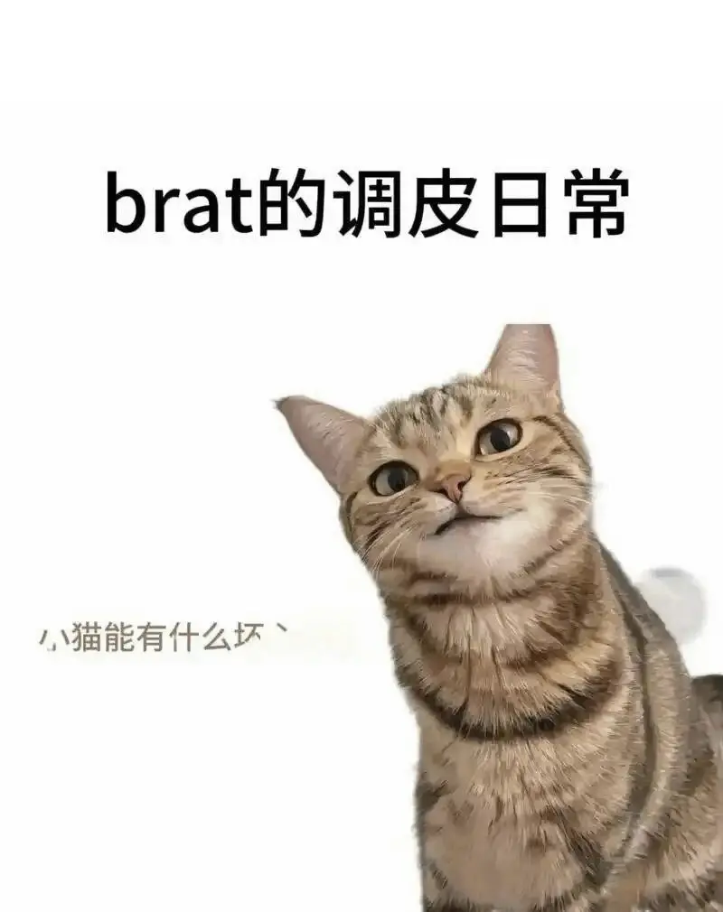 DT：实用指南