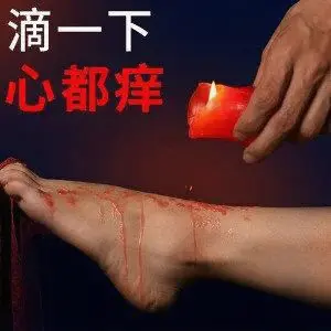 【西檬之家】K8猫系是什么？字母圈新人必读的宠物扮演指南