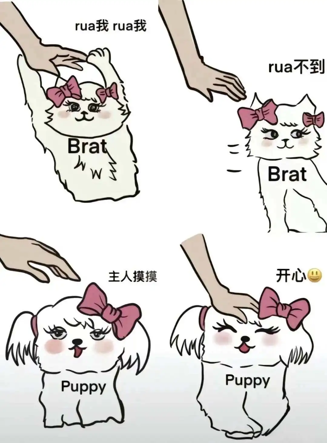 【西檬之家】初级字母圈成员实践指南