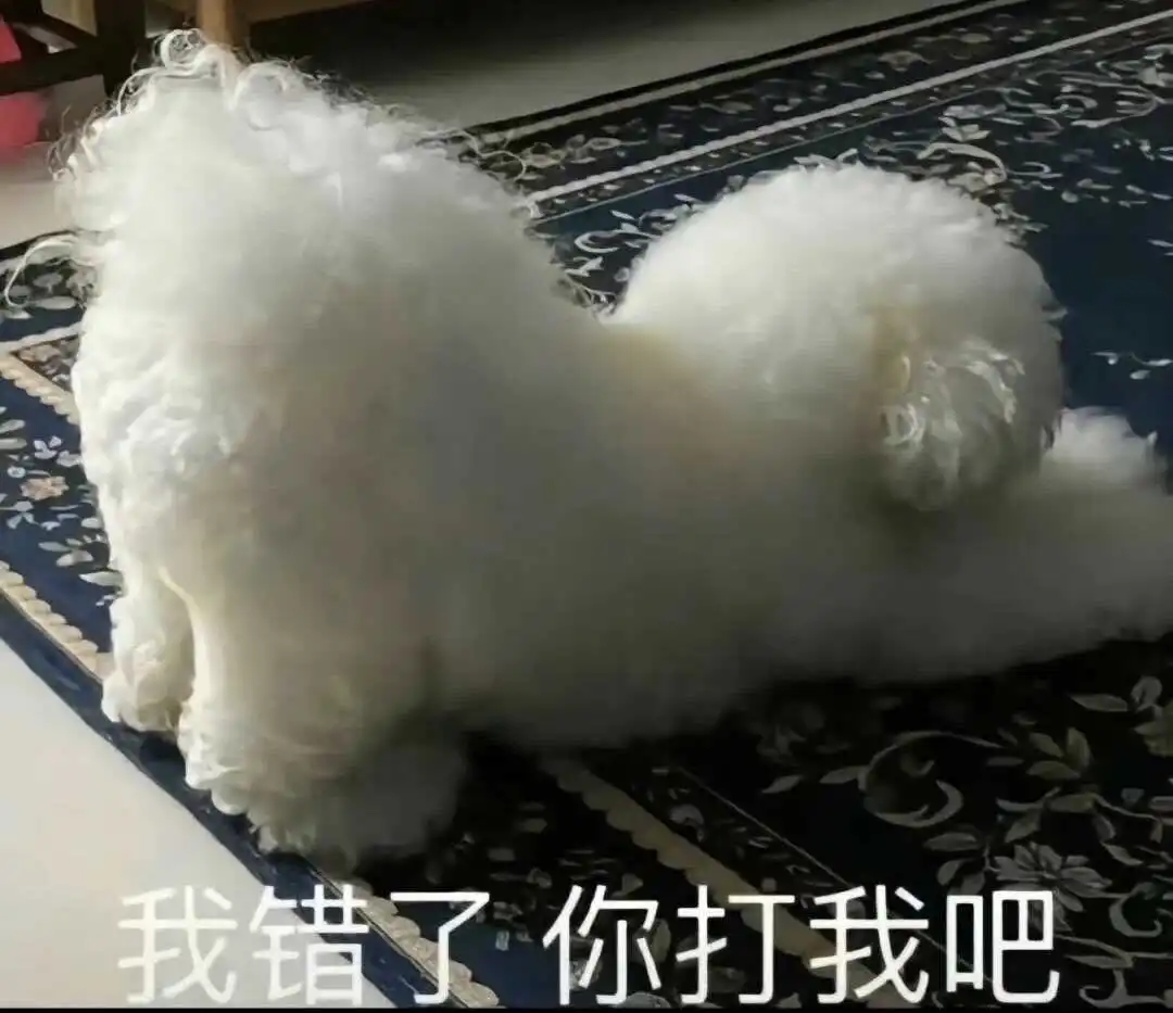 【西檬之家】k8猫系是什么？字母圈新人入圈指南