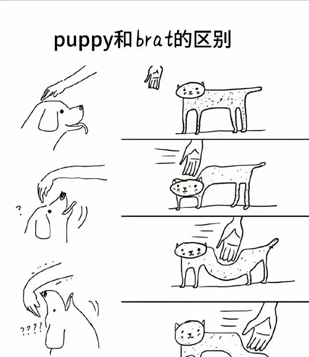 【西檬之家】brat属性解析：BDSM新人必知的“调皮”角色