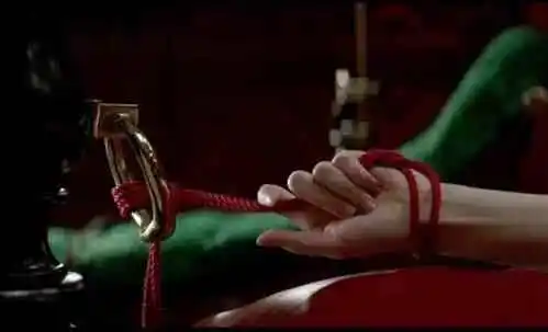 西檬之家-字母圈的Dom是什么意思？权威BDSM新人向指南