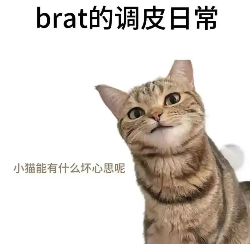 西檬之家-BDSM新手指南：字母圈核心术语解析