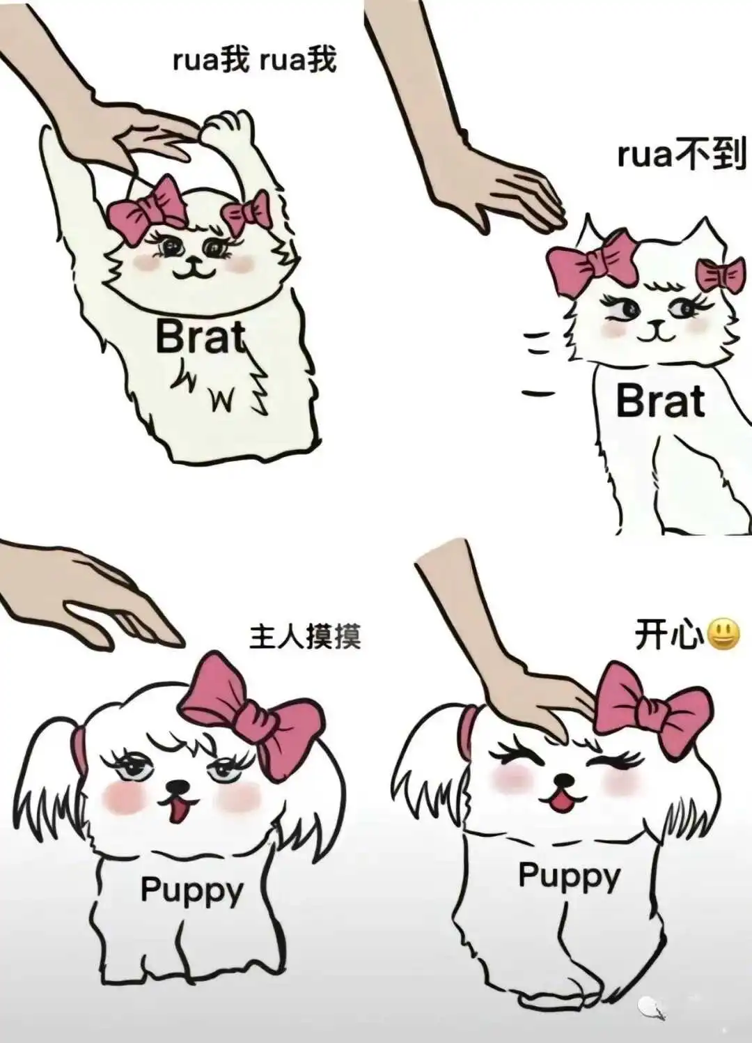 【西檬之家】TK玩法解析：字母圈新人的信任第一课