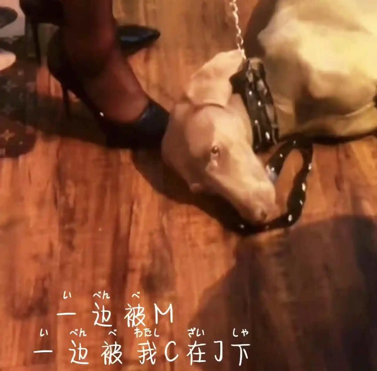 西檬之家-斯慕圈入门：BDSM新人的权威安全指南