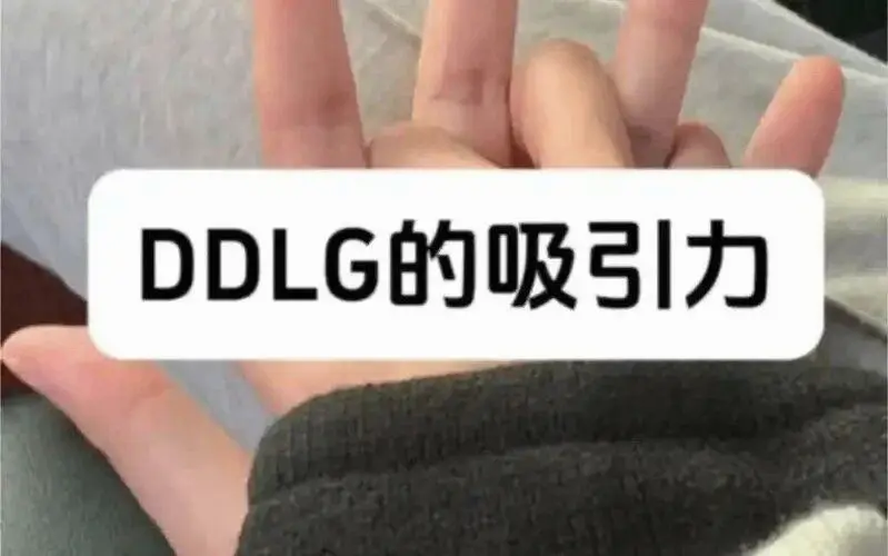 【西檬之家】DT是什么意思？字母圈新人必读术语解析