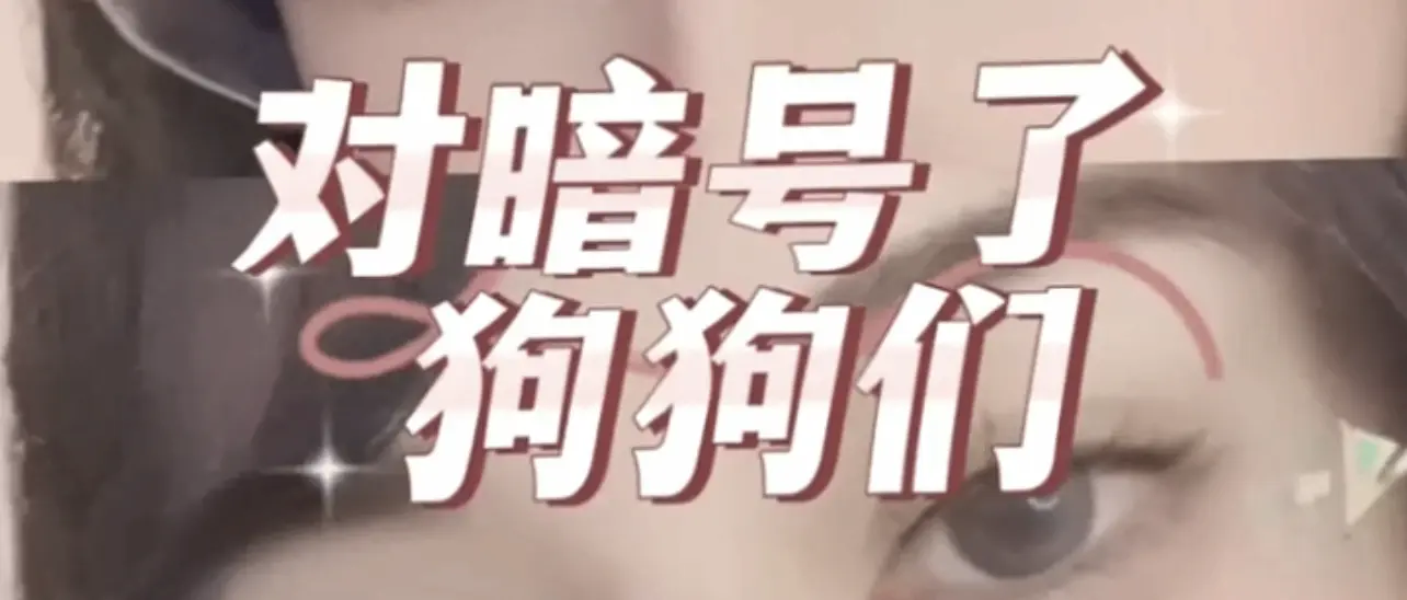 西檬之家-BDSM字母圈新人权威指南